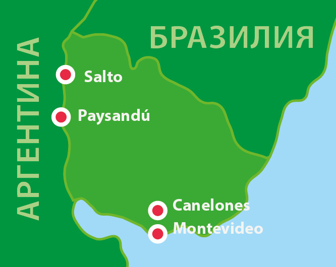 BrazyliaOsobno PL