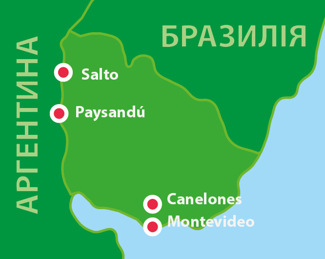 BrazyliaOsobno PL